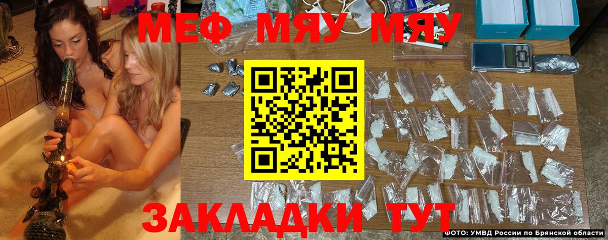 Меф мяу мяу Гусев
