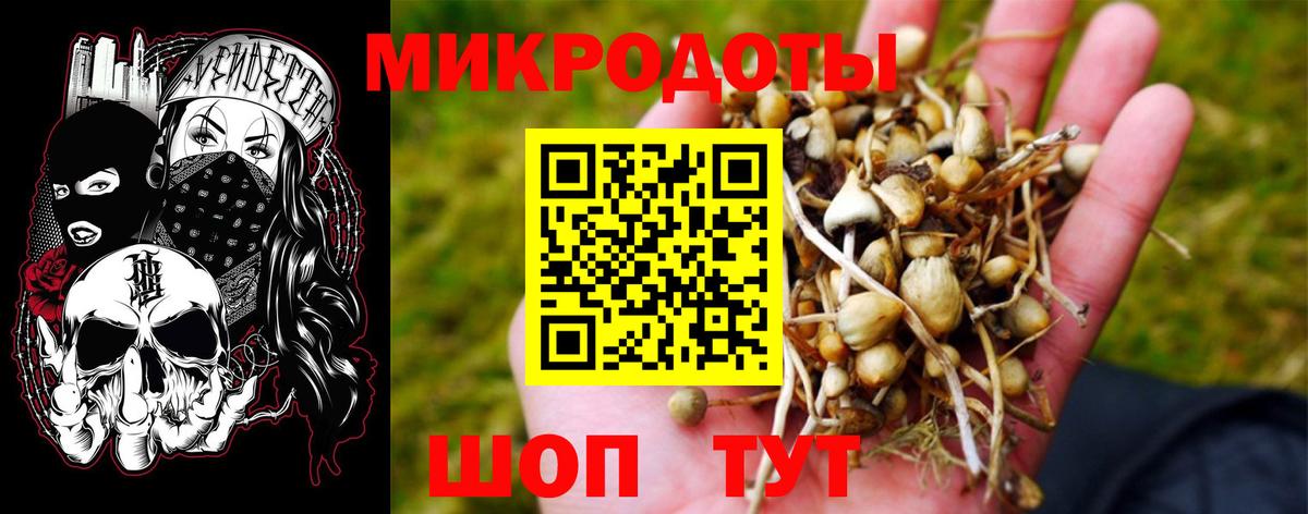 Галлюциногенные грибы GOLDEN TEACHER  Вход с VPN  Гусев 
